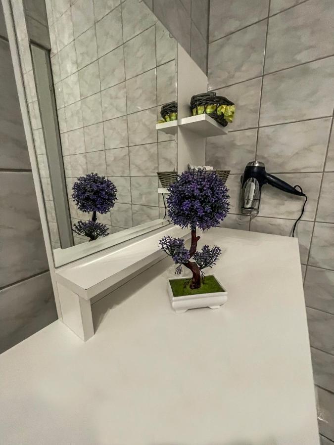 Elizabeth Apartman Tokaj Εξωτερικό φωτογραφία